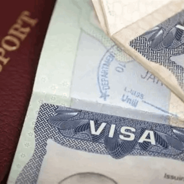 GN Education and Immigration Consultancy